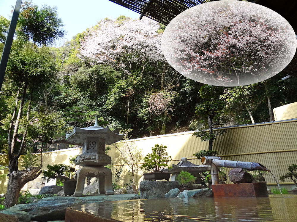 Ryokan Sanyoso 4*